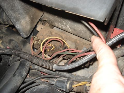 1986 Ford Bronco - A close-up view of a vehicle's engine wiring harness, showing various colored wires and connectors.