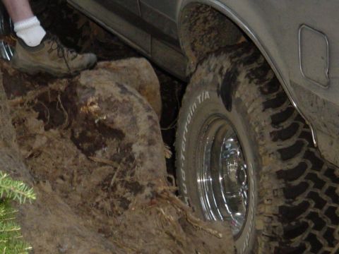 1989 Ford Bronco - Nice big root to push your tire against