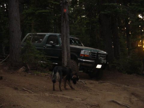 1989 Ford Bronco - Goung up to turn around Gregs bronco decides to vapor lock and die
