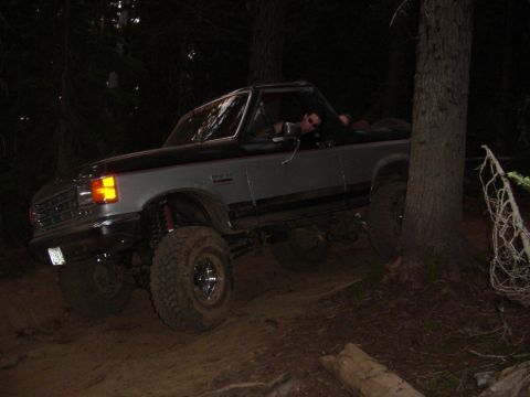 1989 Ford Bronco - Around another tree