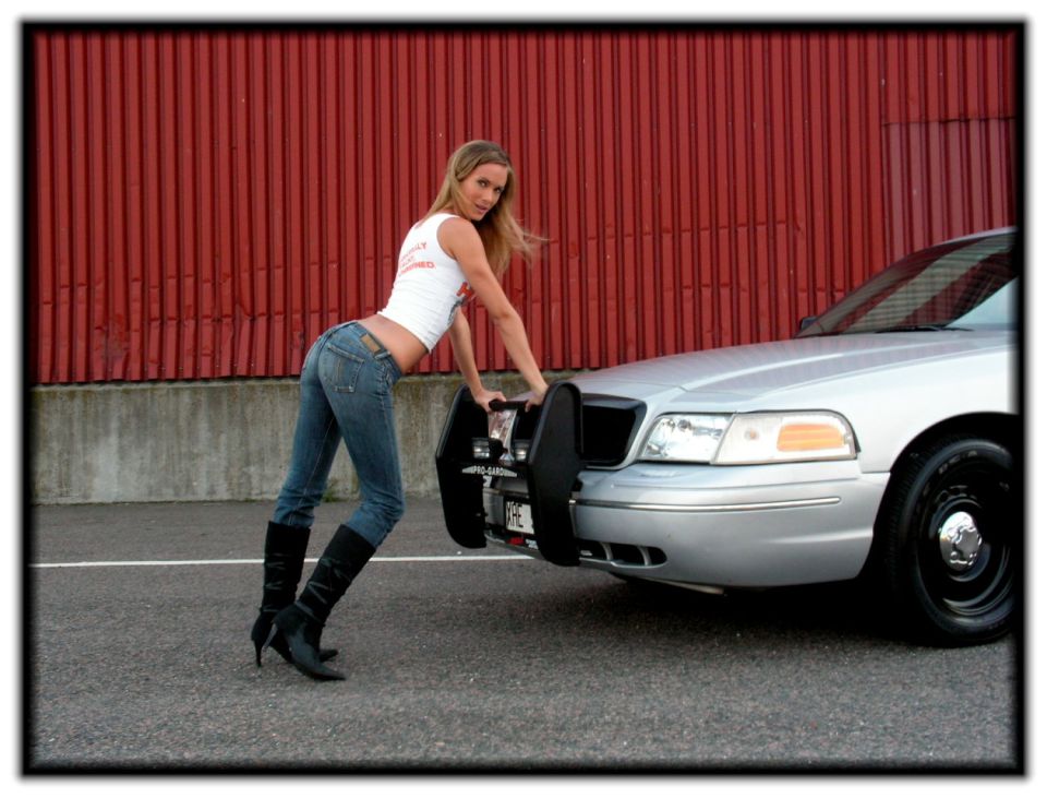 Silver 1998 Ford Crown Victoria front view with push bar
