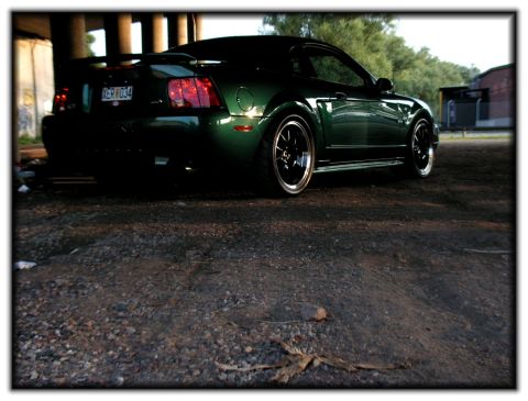 1998 Ford Crown Victoria - Dark green coupe with aftermarket wheels is parked under an overpass.