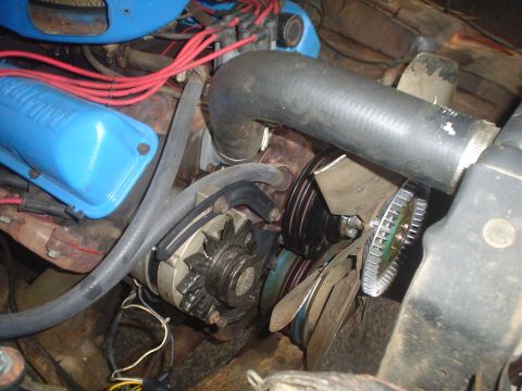 1967 Ford F-250 - Close-up view of an engine bay, showing blue valve covers, red spark plug wires, and the alternator assembly.