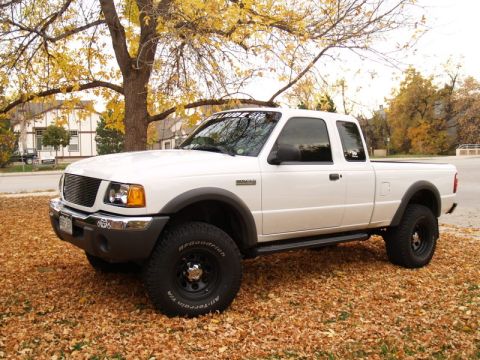 1996 Ford Bronco - A white Ford pickup truck is shown from a three-quarter front angle on a bed of fallen leaves.