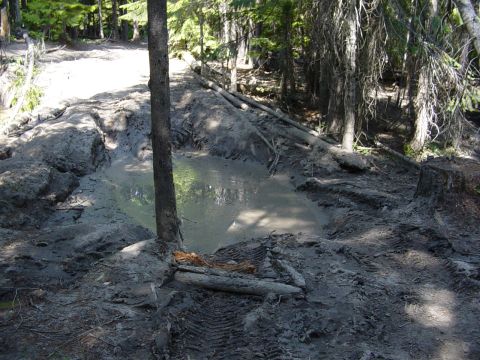 1989 Ford Bronco - Kind of a small innocent looking puddle.....