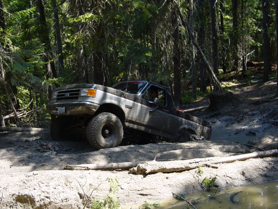 Gray Ford pickup climbing out of a muddy pit in a sunlit conifer forest