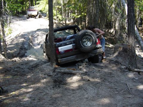 1989 Ford Bronco - Very close to this tree, I thought I was gonna hit it