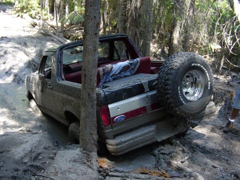 1989 Ford Bronco - Definately worried about the tree