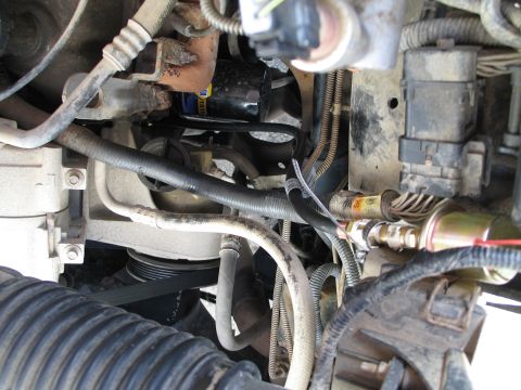 1995 Ford Bronco - Close-up view of engine components, including hoses, wiring, and an oil filter.