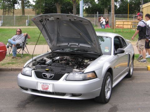 1989 Ford Mustang - lil cuzz