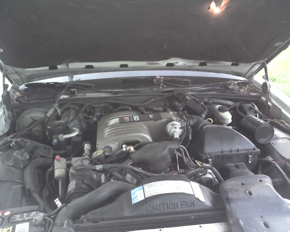 Open engine bay with V8 engine, air box, and CAUTION FAN shroud