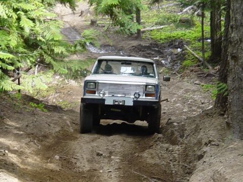 1989 Ford Bronco - Todds turn