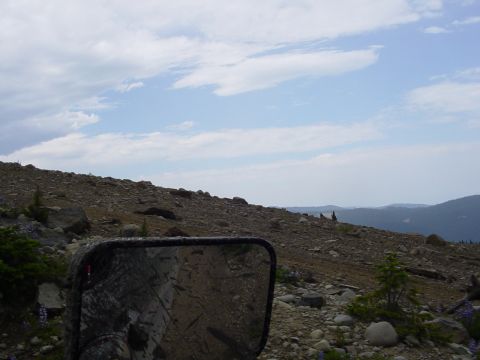 1989 Ford Bronco - Veiw off to the side
