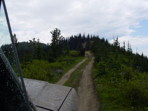 1989 Ford Bronco - The trail farther up
