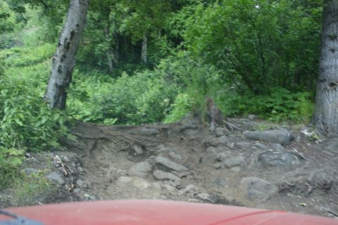 2003 Jeep TJ - View from inside a red vehicle looking out at a challenging off-road path through a wooded area.