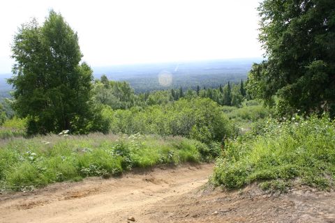 2003 Jeep TJ - A dirt path leads through a lush forest with a distant view of rolling hills.