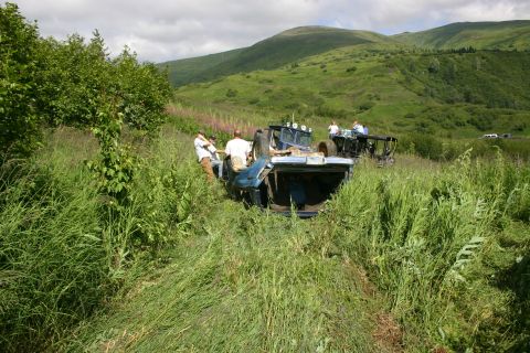 2003 Jeep TJ - A blue Jeep TJ is overturned in a grassy field with several people standing nearby.