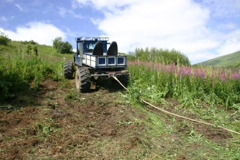 2003 Jeep TJ - A custom-built off-road vehicle navigates a challenging, overgrown terrain under a partly cloudy sky.