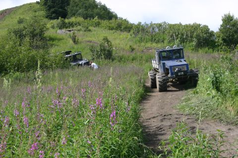 2003 Jeep TJ - Two vehicles navigate a dirt path through a field of wildflowers and tall grass.