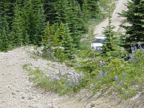 1989 Ford Bronco - Looking back at Mark in that slick spot