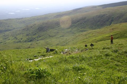 2003 Jeep TJ - People enjoying the view from a grassy mountain slope on a clear day.