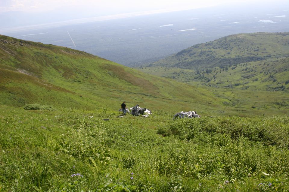 Scattered wreckage on a grassy hillside with a person standing nearby
