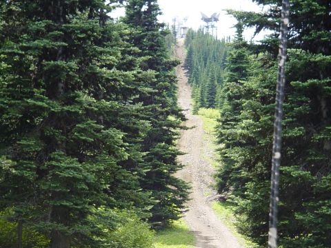 1989 Ford Bronco - The hill ahead looked soooo steep it was amazing
