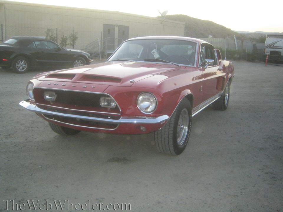 Red Shelby Mustang fastback front three-quarter view parked on gravel