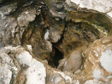 1988 Ford Bronco - Looking down into a natural rock sinkhole or cave opening in pale limestone, with algae-stained tan and green mineral crusting on the walls…
