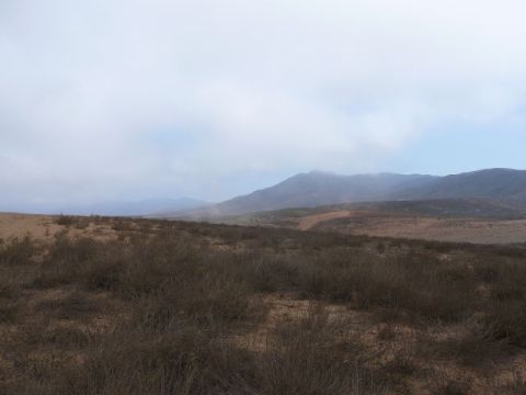 1988 Ford Bronco - Wide open desert landscape under a heavy overcast sky, with low scrub brush and dry grass in the foreground and hazy mountain ridges fading…