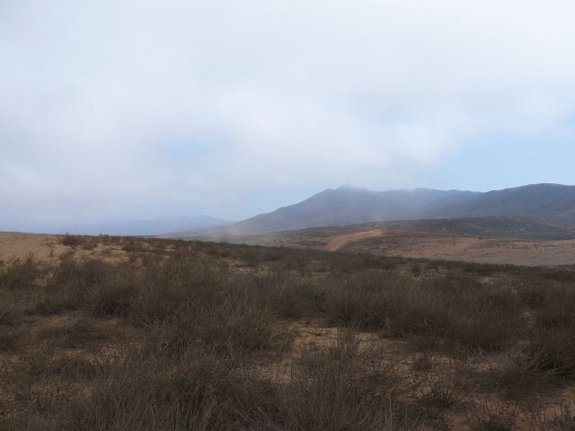 Overcast desert scrubland with dirt track and fog-shrouded mountains on the horizon