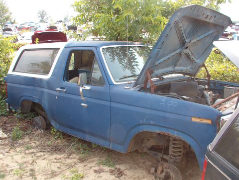 1983 Ford Bronco - Brown's The driver's door is against the tree, so no VIN sticker. Blue interior w/bk trim. Front seats gone.