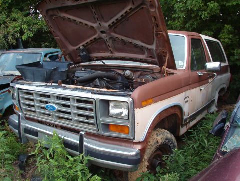 1983 Ford Bronco - Brown's Yellowjackets in the driver's door. Good tan seat belt buckles.