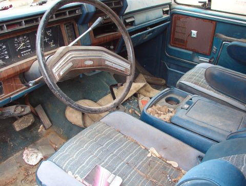 1983 Ford Bronco - Brown's '84