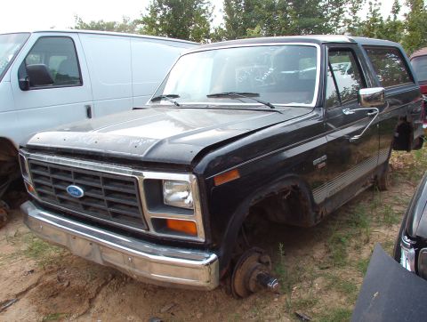 1983 Ford Bronco - Brown's '86 Decent tailgate - rust blisters at the bottom center, but otherwise, pretty nice.