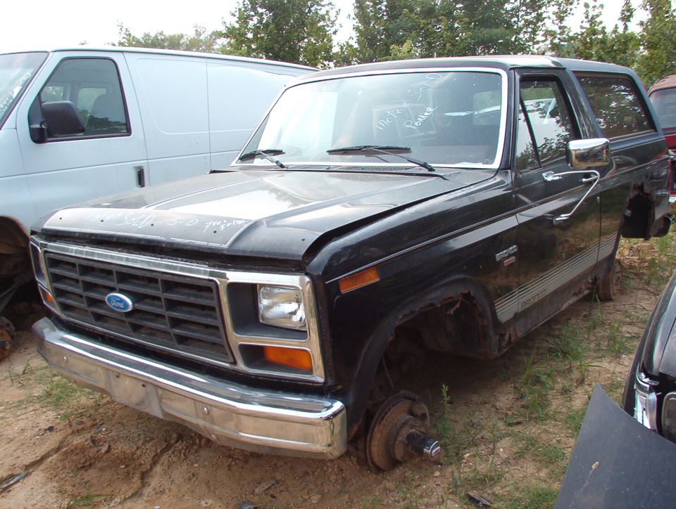Brown's '86

Decent tailgate - rust blisters at the bottom center, but otherwise, pretty nice.