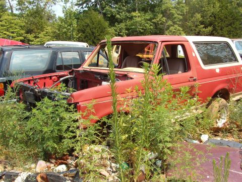 1983 Ford Bronco - Brown's Driver's door crushed shut.