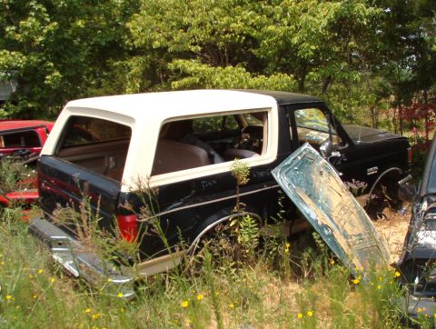 1983 Ford Bronco - Brown's '90
