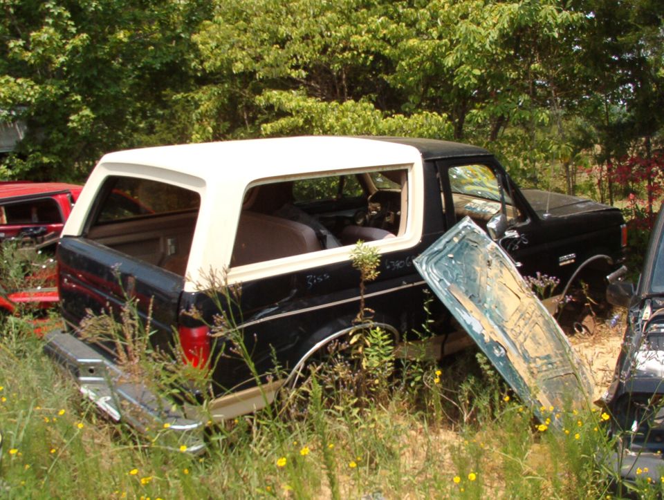Black Ford Bronco with white top in overgrown salvage yard