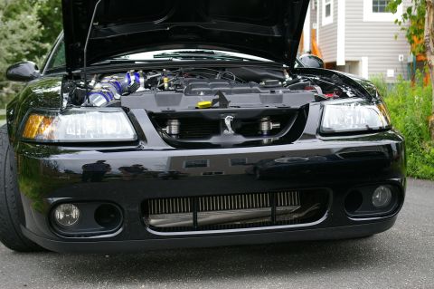 1995 Ford Probe - Front view of a black Ford Mustang Cobra, hood up, revealing the engine and intercooler.