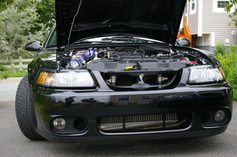 1995 Ford Probe - Front view of a black car with its hood open, revealing the engine bay and a prominent Cobra emblem on the grille.