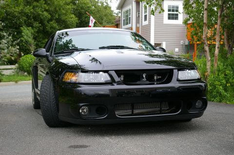 1995 Ford Probe - This black Ford Mustang Cobra features a distinctive cobra emblem on its grille and is parked in front of a residential building.