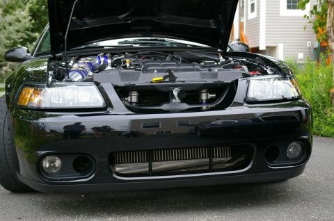 1995 Ford Probe - Low front view of a black New Edge Mustang Cobra with the hood open, showing the supercharged V8, polished intake tube with blue silicone c…
