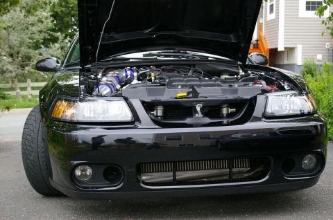 1995 Ford Probe - Front view of a black New Edge Mustang Cobra with the hood raised, revealing polished intercooler piping with blue silicone couplers over t…