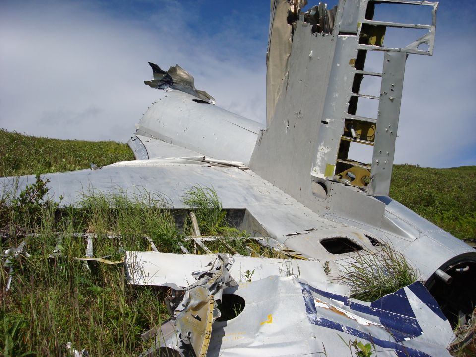 Airplane wreckage in tall grass under a blue sky with clouds. The metal structure is broken and exposed