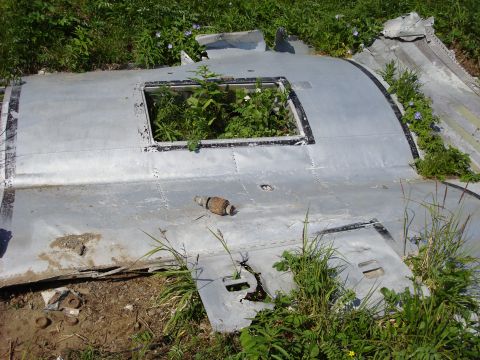 2000 Ford E350 - Overgrown aircraft wreckage lies in a field, with vegetation sprouting from an interior opening.