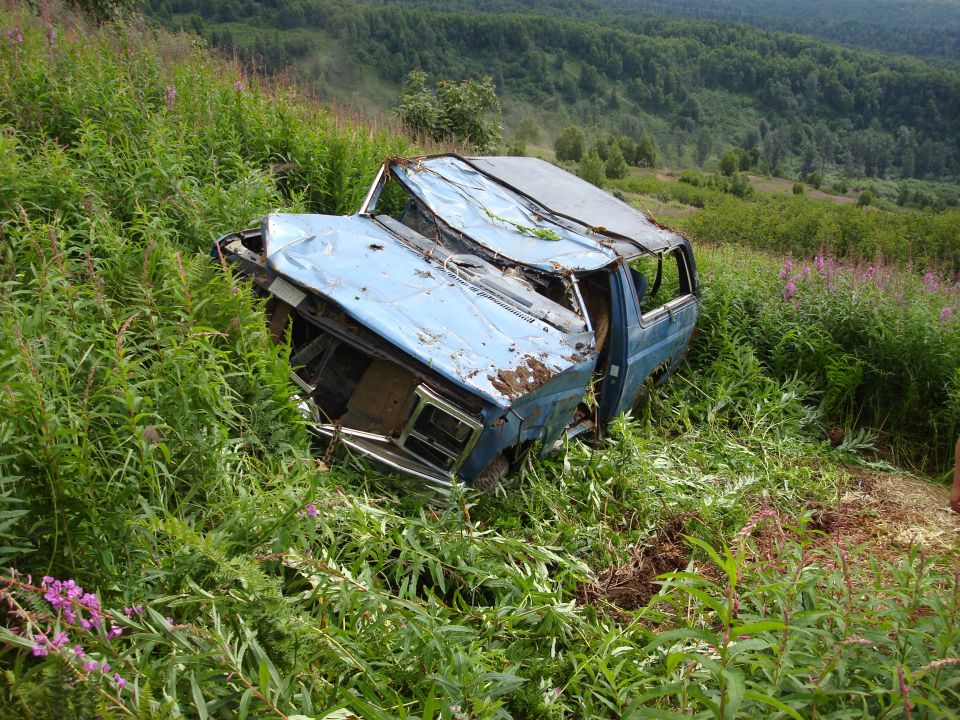 Wrecked blue van with crushed front end, lying on its side in tall green grass and purple flowers