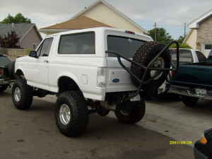 tire carrier - 1995 Ford Bronco