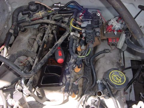 1995 Ford Bronco photo