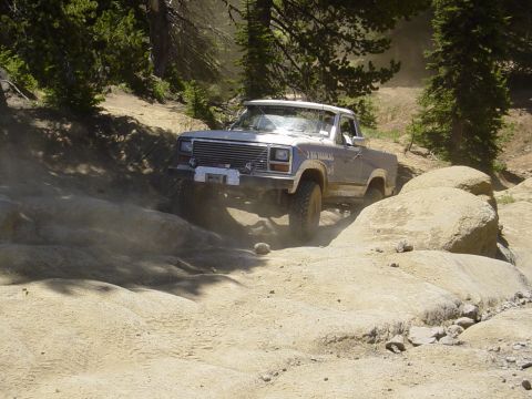1989 Ford Bronco - He looked a little nervous